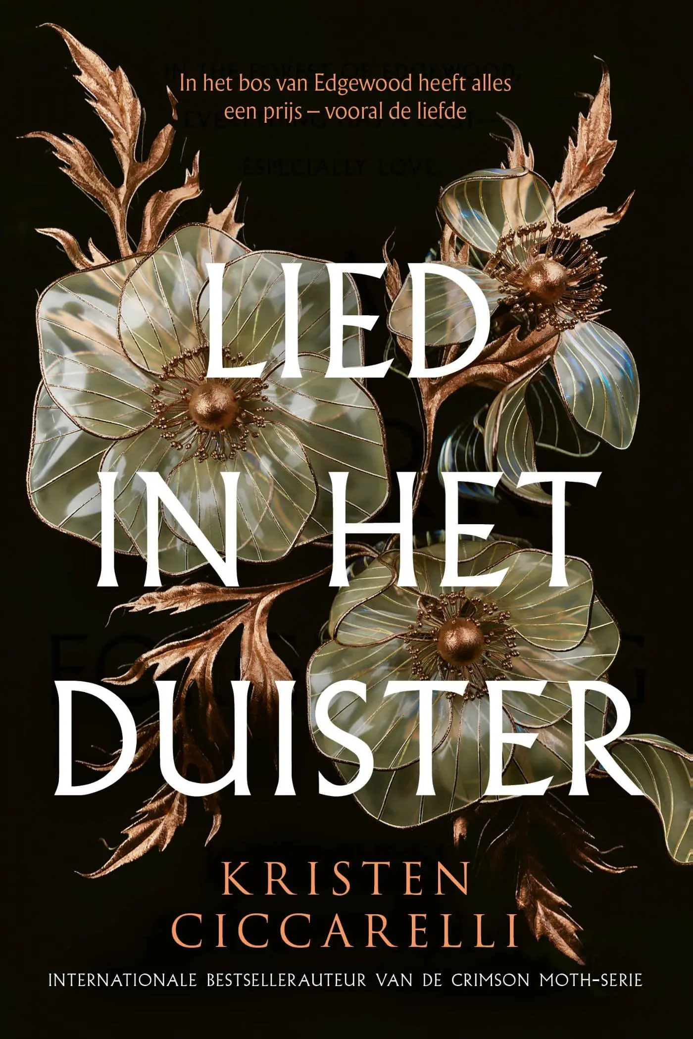 Lied in het duister