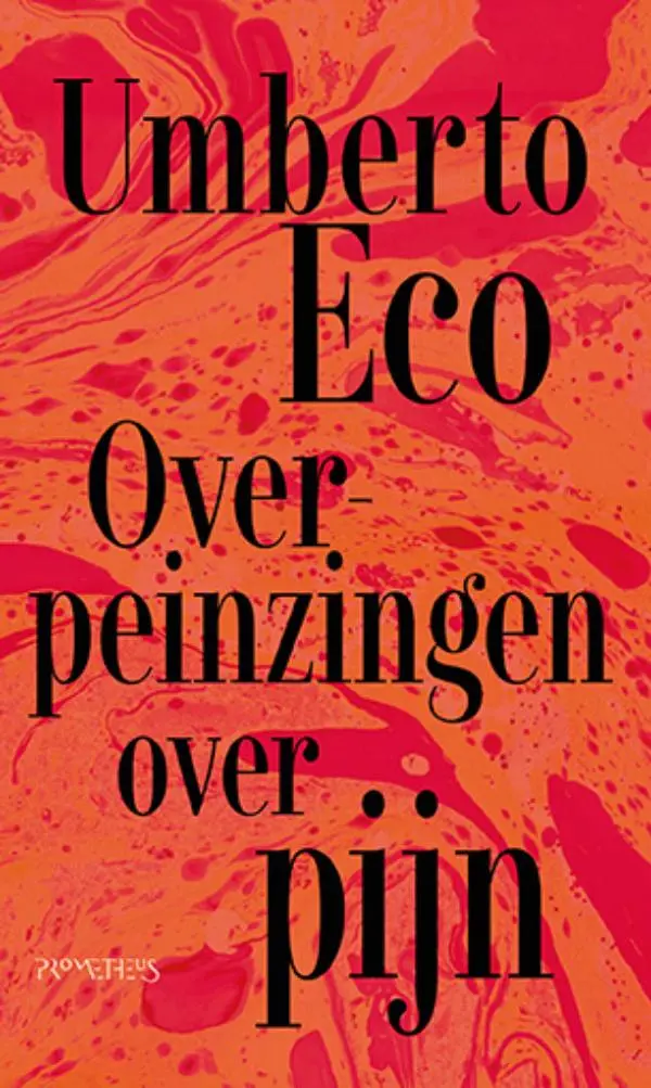 Overpeinzingen over pijn