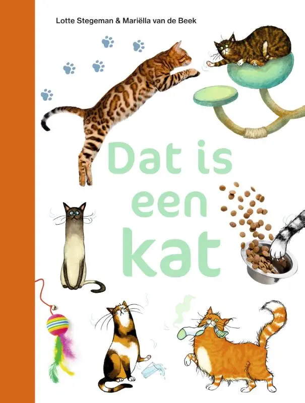 Dat is een kat