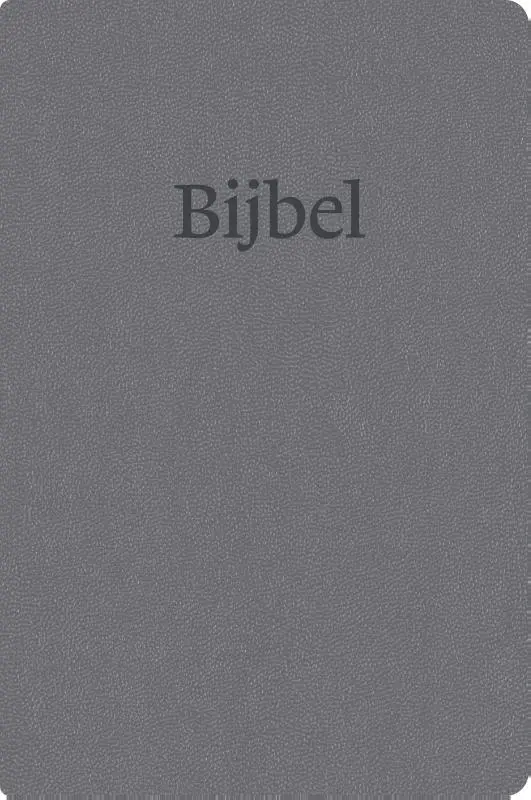 NBV21