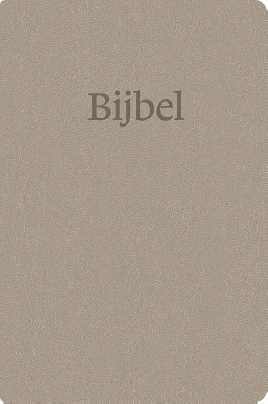 NBV21