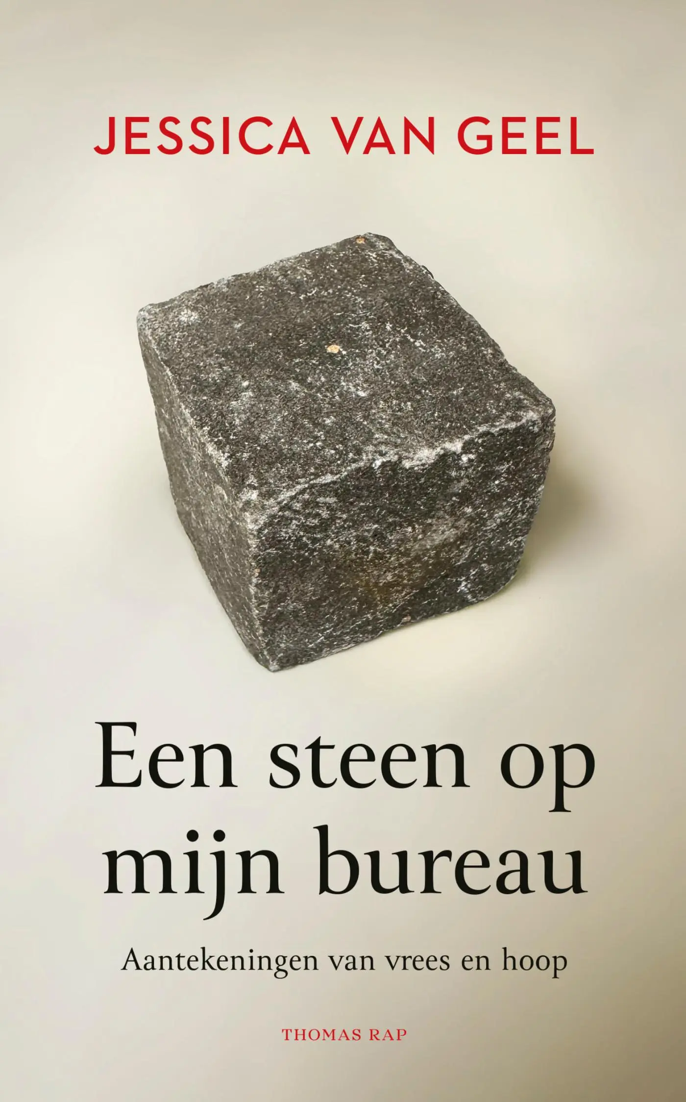 Een steen op mijn bureau
