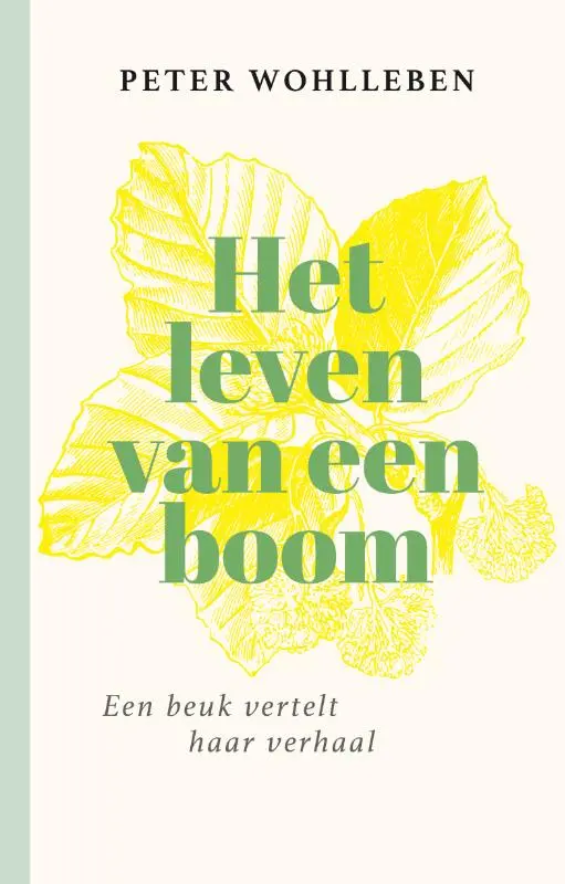 Het leven van een boom