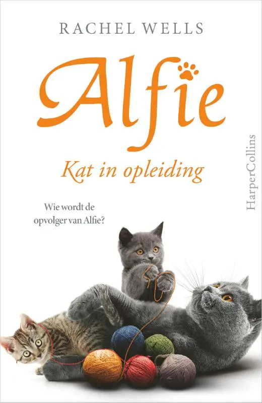Kat in opleiding
