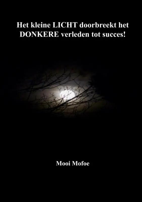 Het kleine LICHT doorbreekt het DONKERE verleden tot succes!