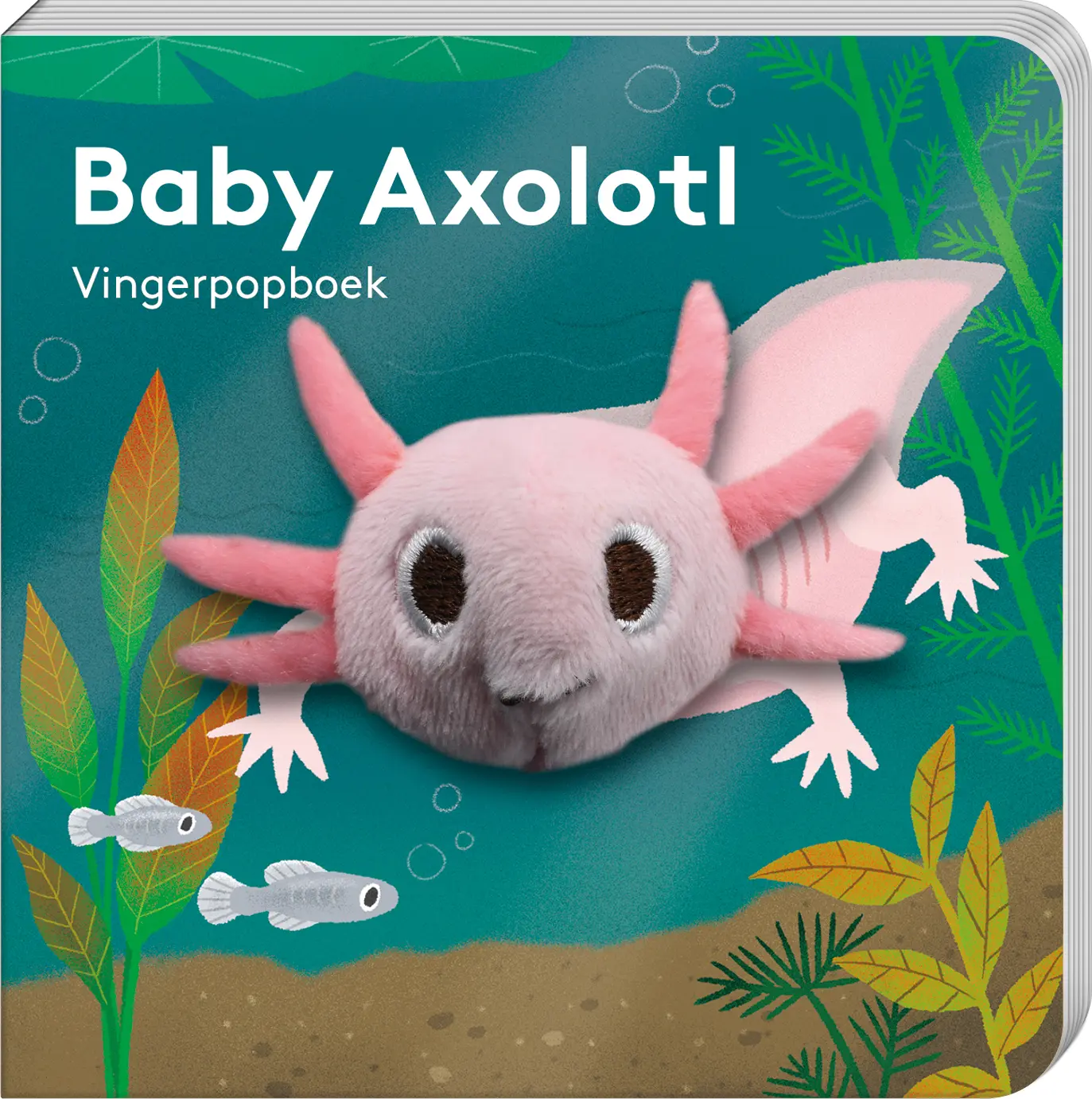 Vingerpopboekje Baby Axolotl