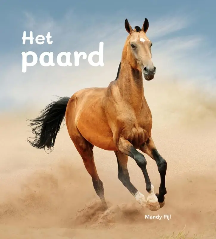 Het paard