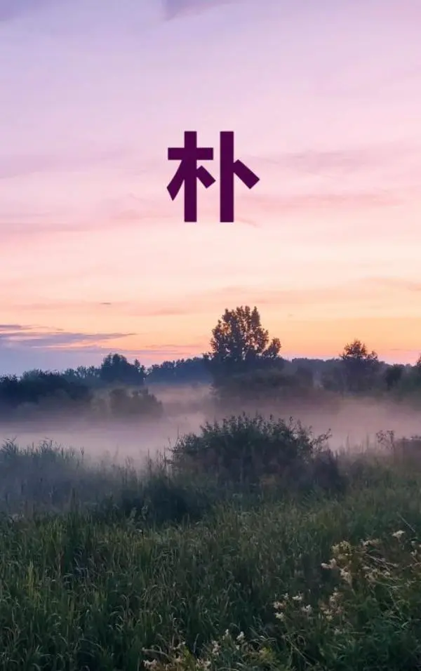 Eenvoud
