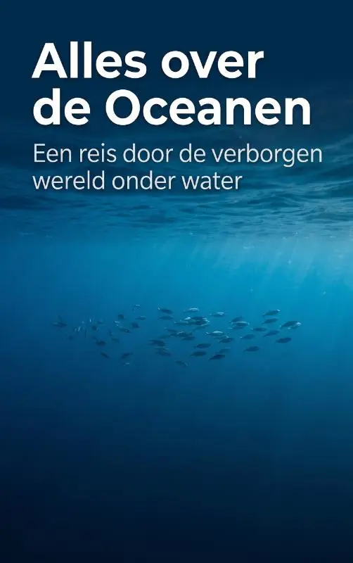 Alles over de Oceanen